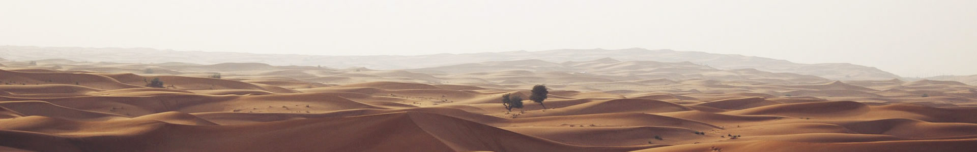 ɽƿƼ޹˾
